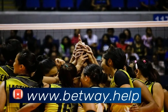 betway必威APP 高清赛事图